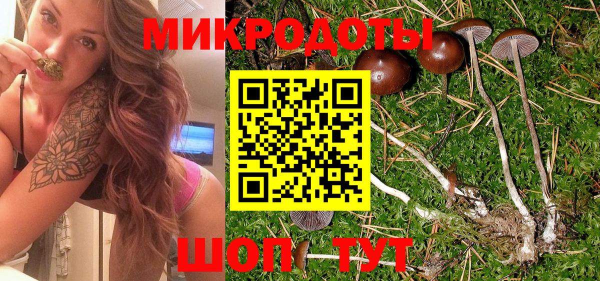 Галлюциногенные грибы прущие грибы Лабинск